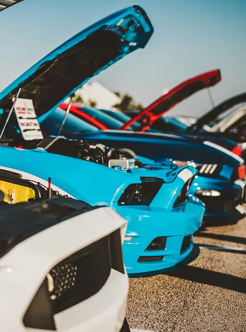 Cars and Coffee - Row of Cars With Open Hoods