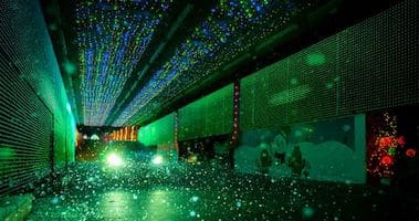 Peppermint Parkway Lights - Green